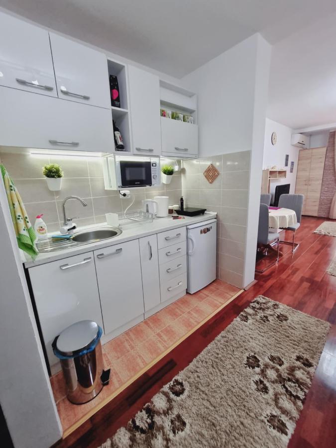 Apartman Temida Lux Vrnjačka Banja Εξωτερικό φωτογραφία
