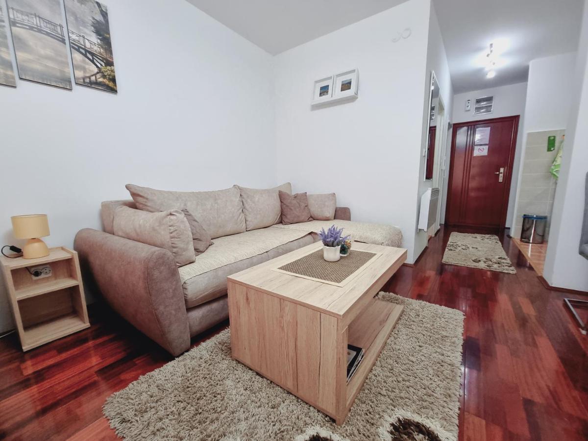 Apartman Temida Lux Vrnjačka Banja Εξωτερικό φωτογραφία