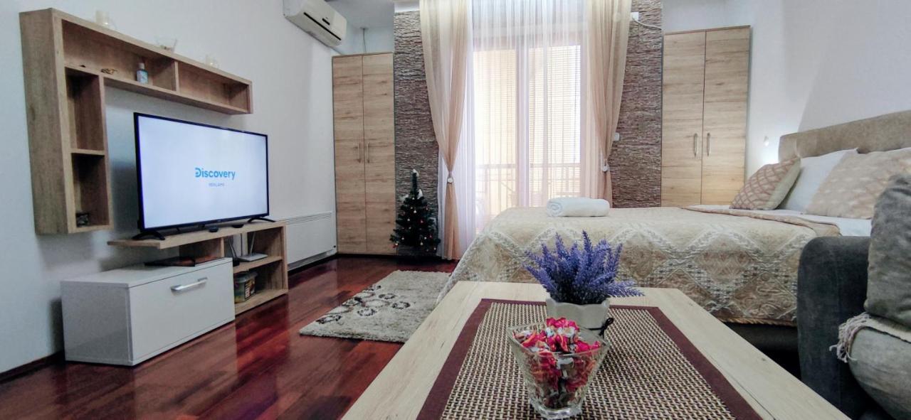 Apartman Temida Lux Vrnjačka Banja Εξωτερικό φωτογραφία