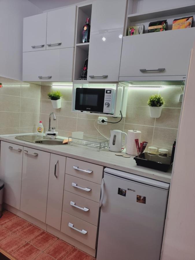 Apartman Temida Lux Vrnjačka Banja Εξωτερικό φωτογραφία