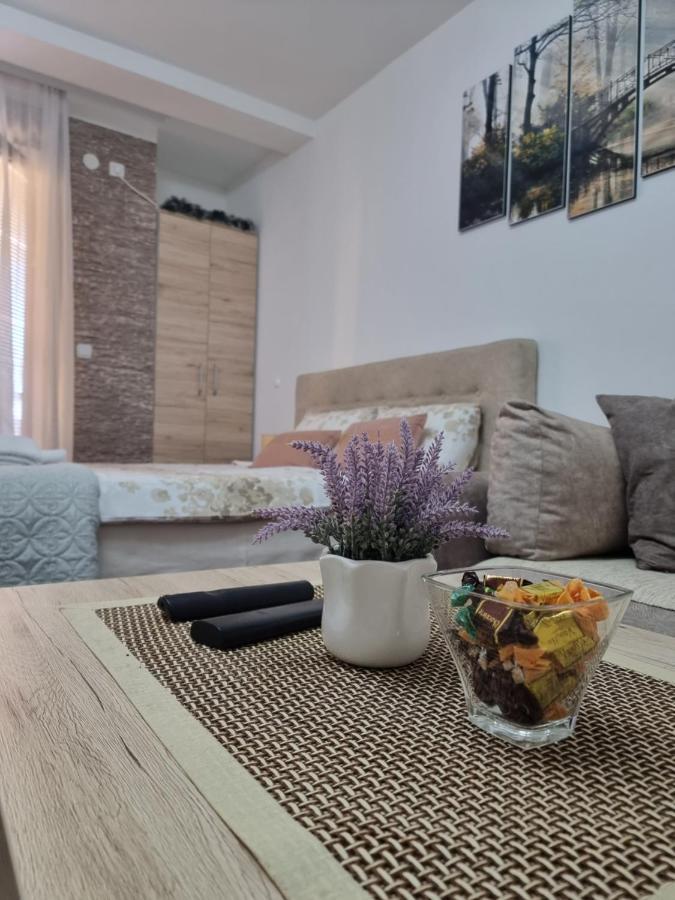 Apartman Temida Lux Vrnjačka Banja Εξωτερικό φωτογραφία